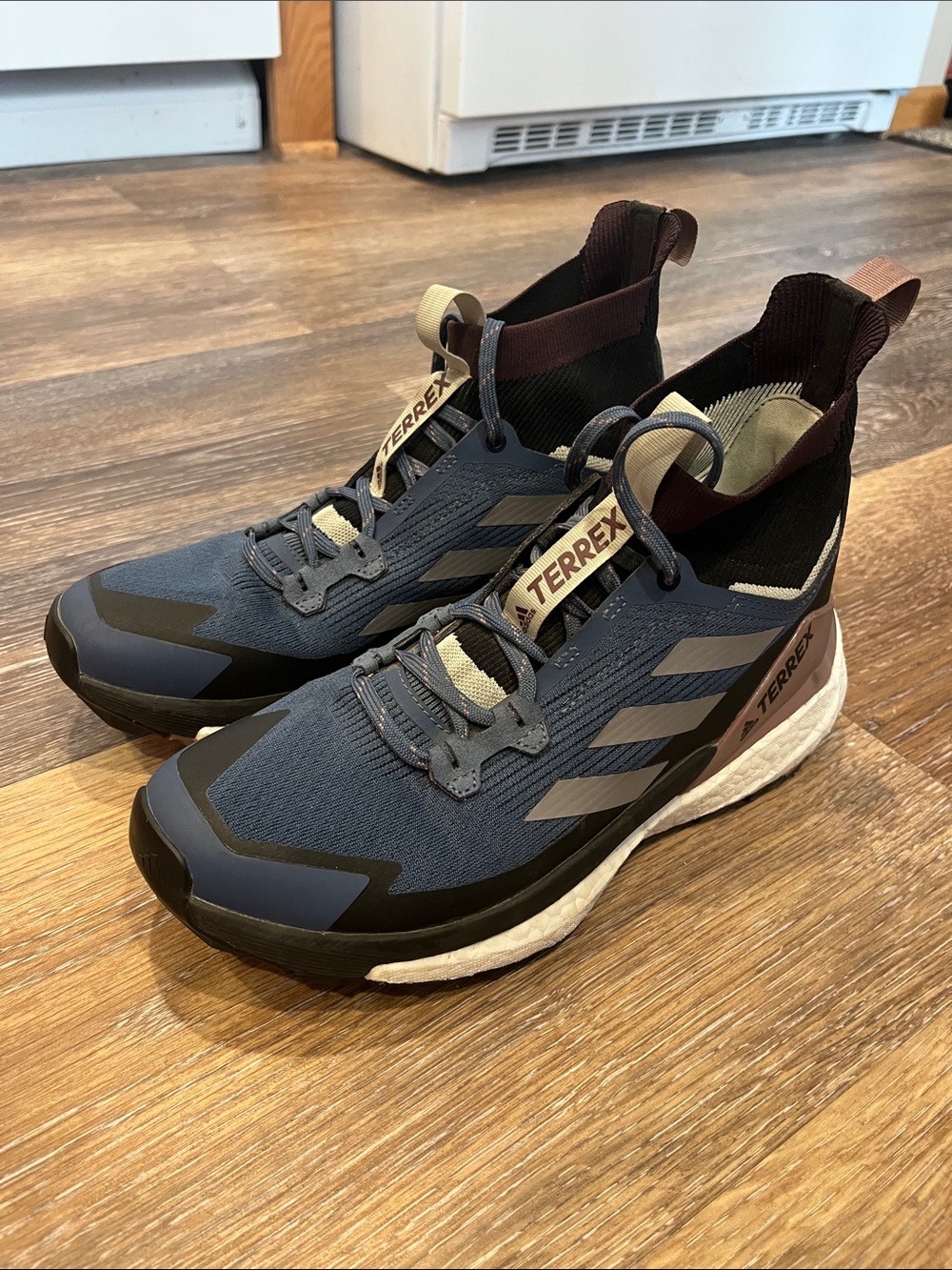 Adidas TERREX Hiking Trail Shoes
